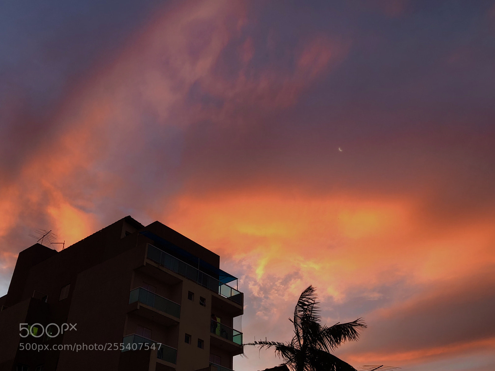 Apple iPhone X sample photo. Purple sunset in sp photography