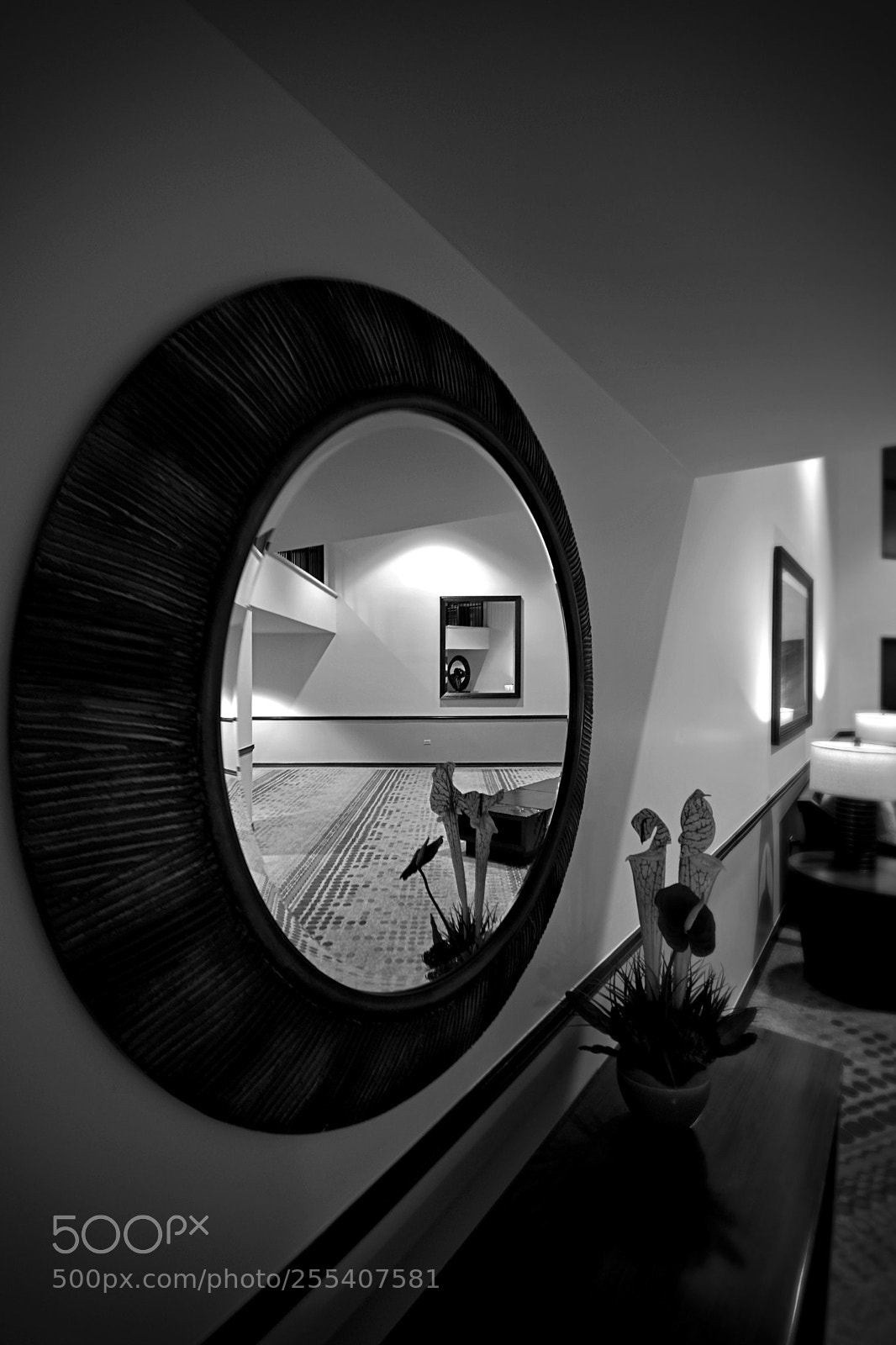 Nikon D7200 sample photo. Reflection photography