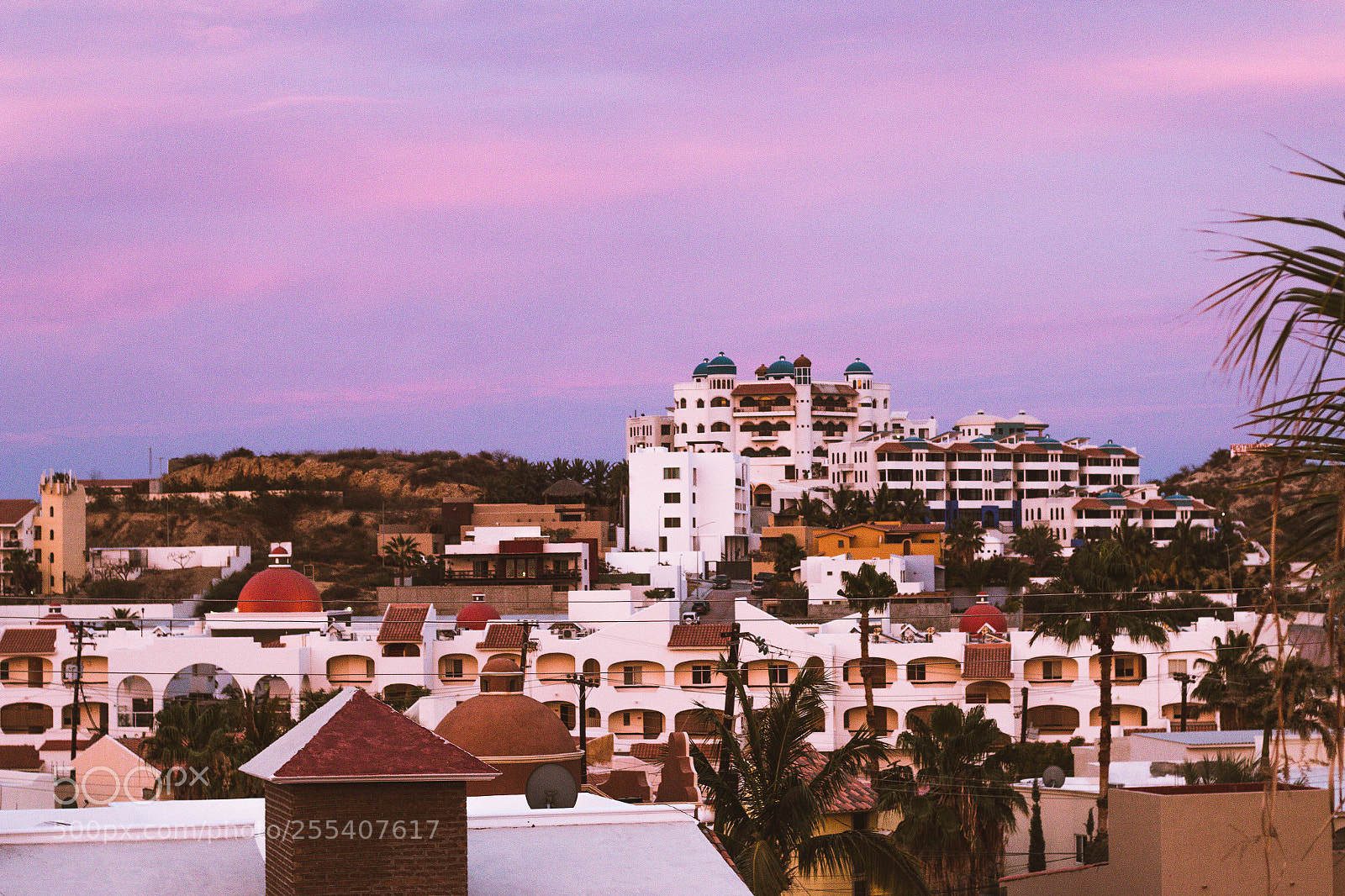 Canon EOS 70D sample photo. Golden hour photography