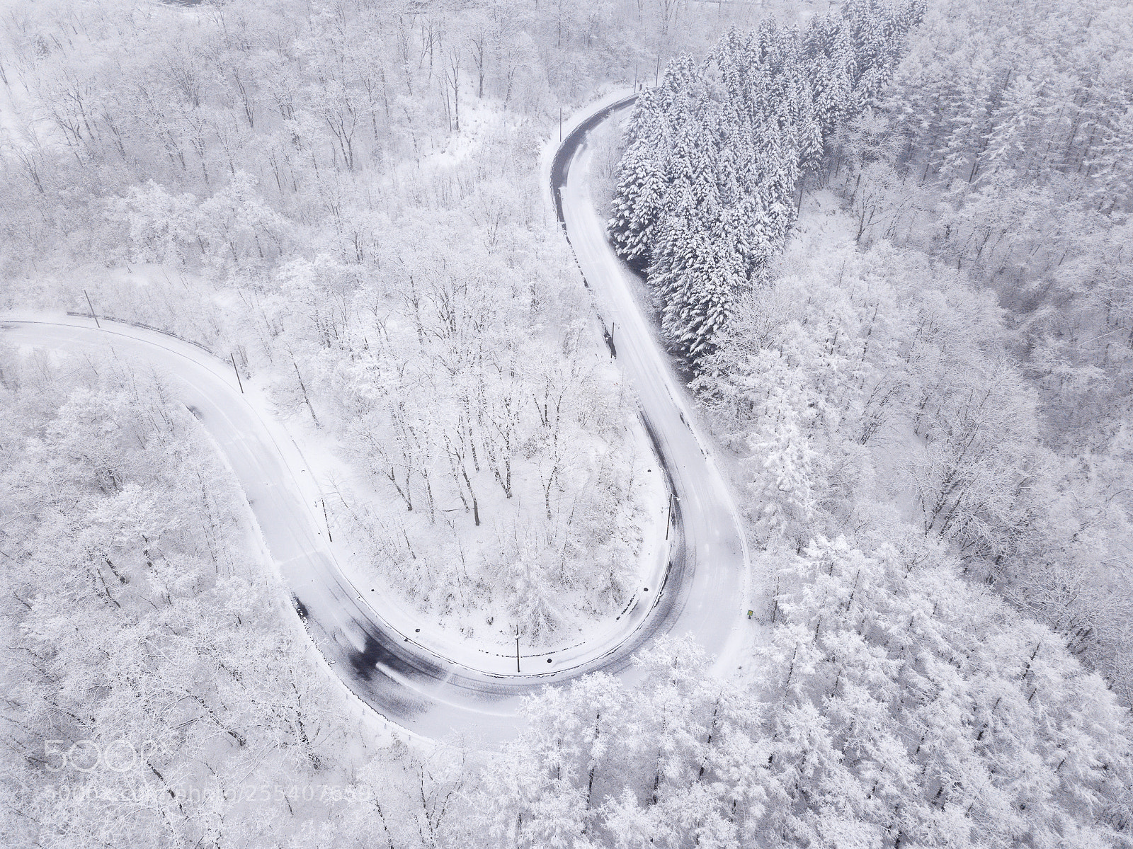 DJI FC220 sample photo. April "showers" photography