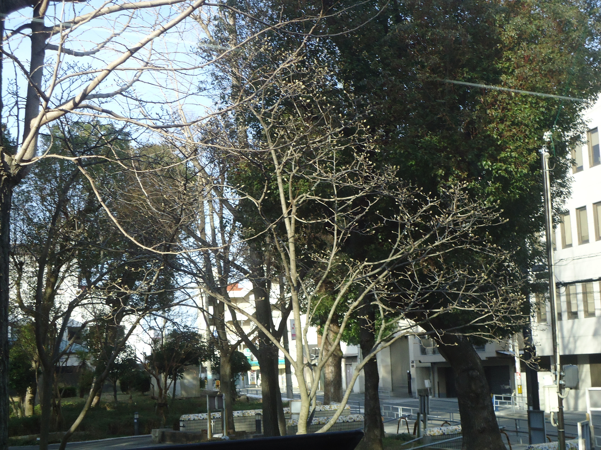 Sony Cyber-shot DSC-W610 sample photo. Dsc photography