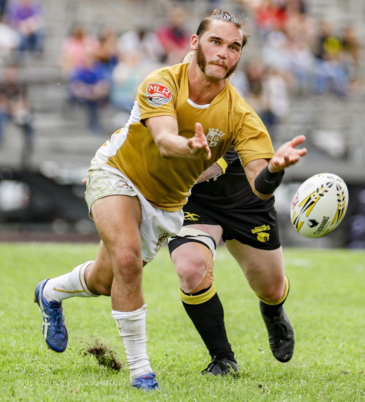 Canon EOS 7D Mark II sample photo. The new orleans gold photography