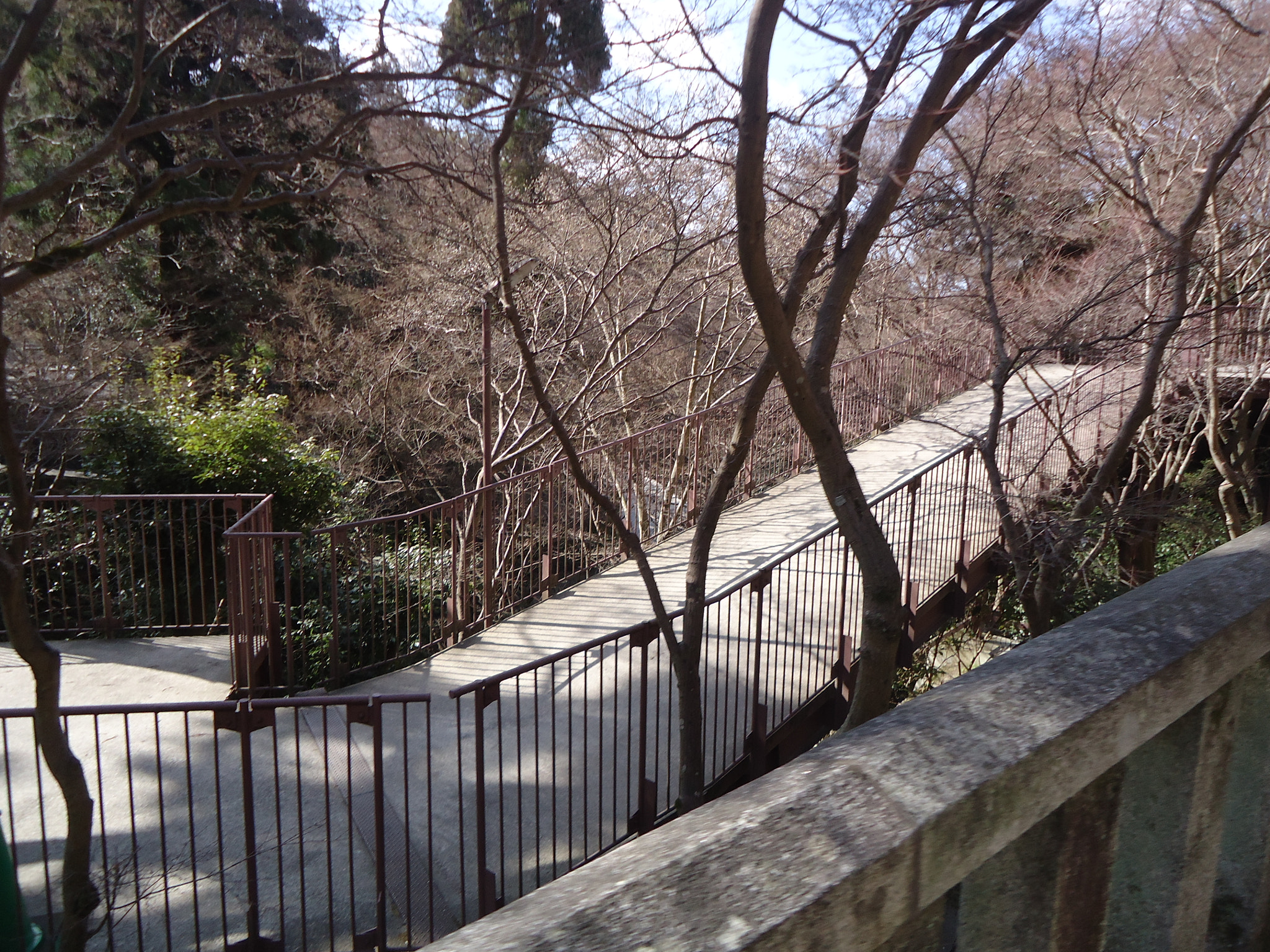 Sony Cyber-shot DSC-W610 sample photo. Dsc photography