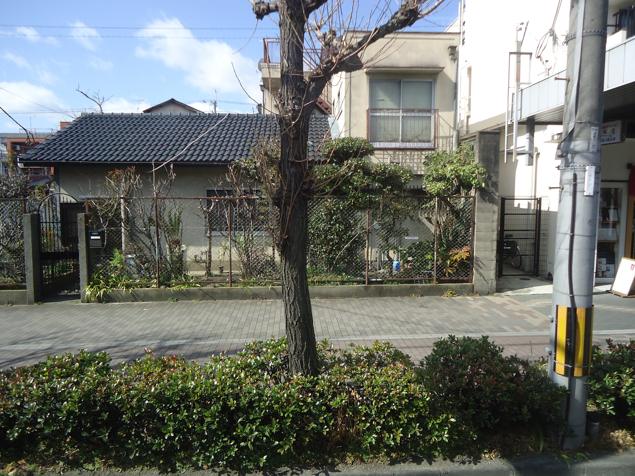 Sony Cyber-shot DSC-W610 sample photo. Dsc photography