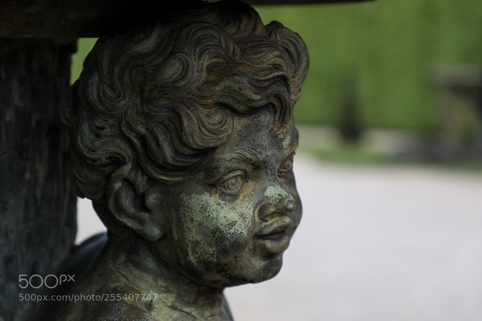Canon EOS 5D Mark IV sample photo. Untitled photography