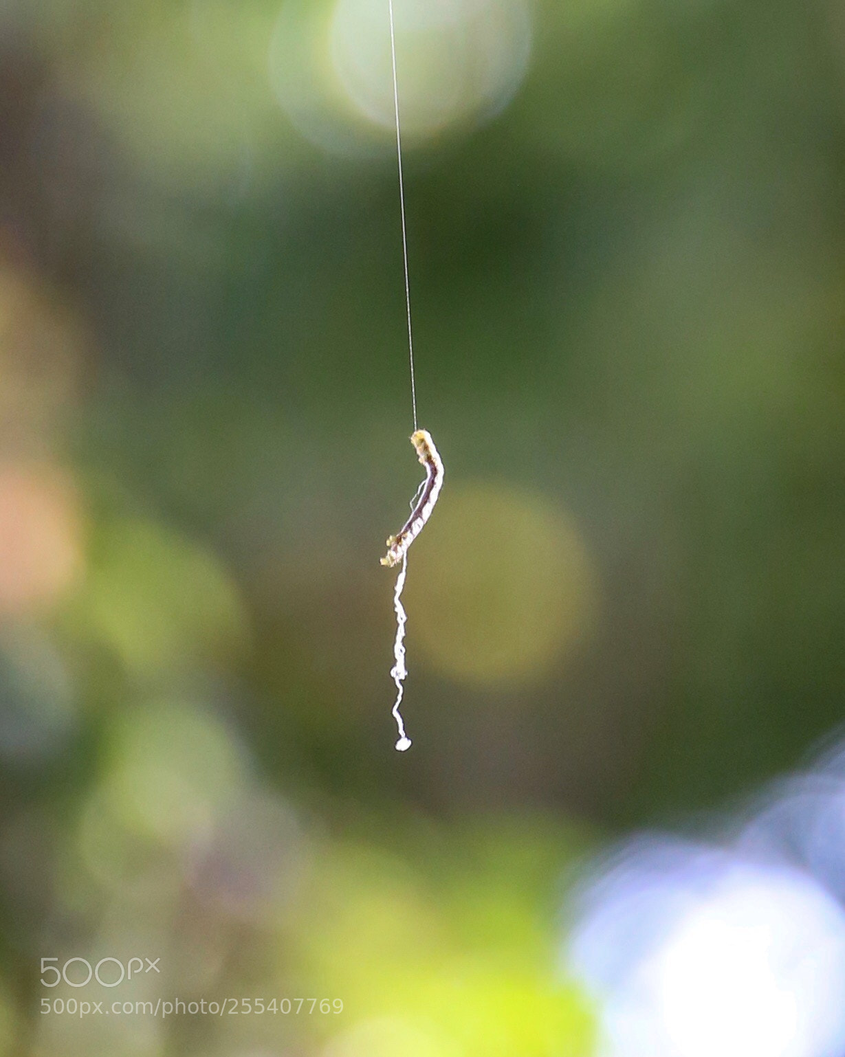 Canon EOS 6D sample photo. Build your own path  photography