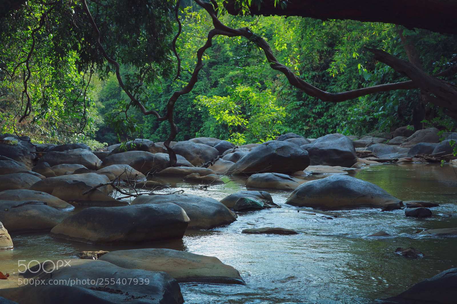 Canon EOS 750D (EOS Rebel T6i / EOS Kiss X8i) sample photo. Thác Đứng photography