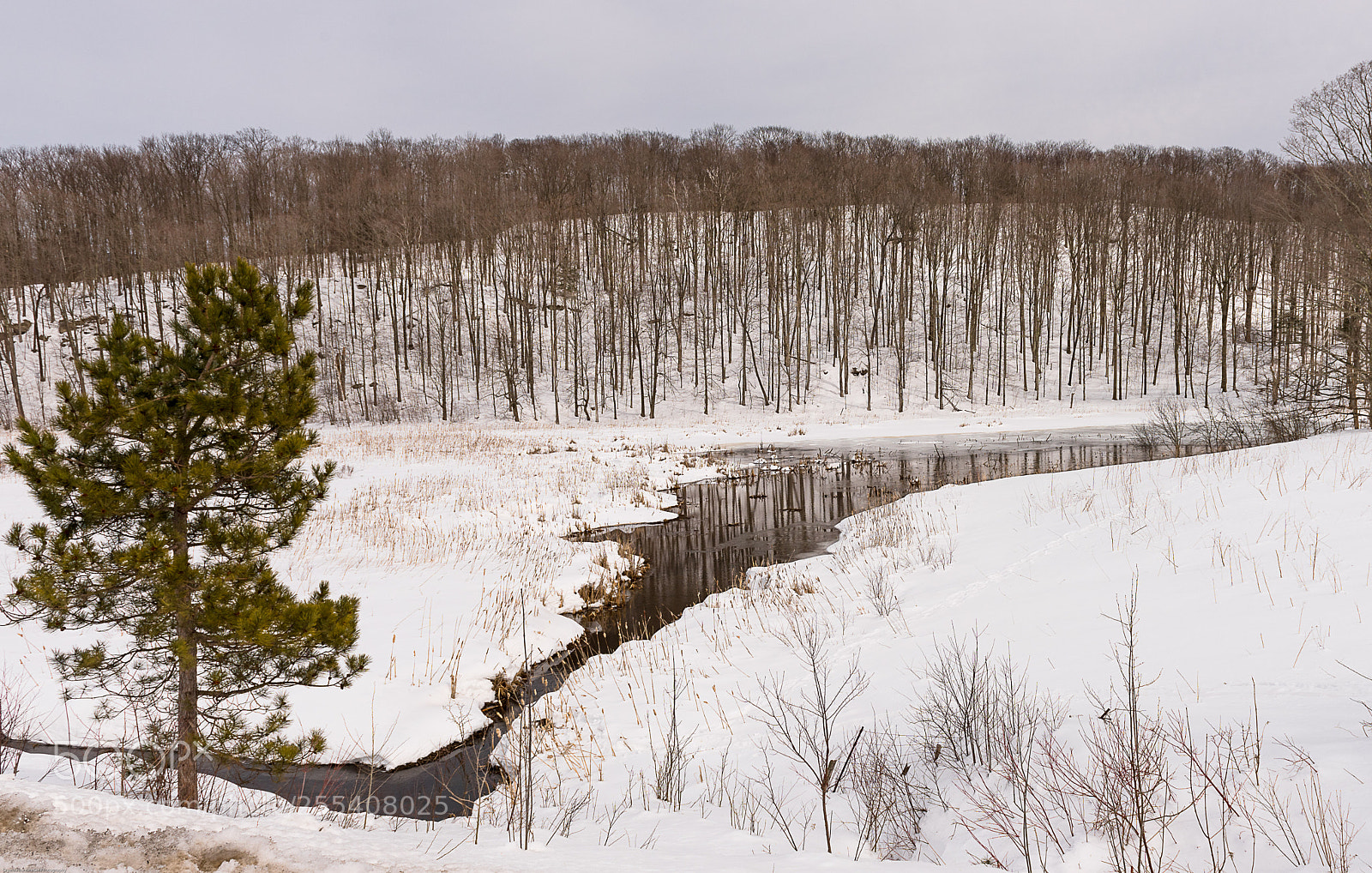 Nikon D810 sample photo. Taking the easy way photography