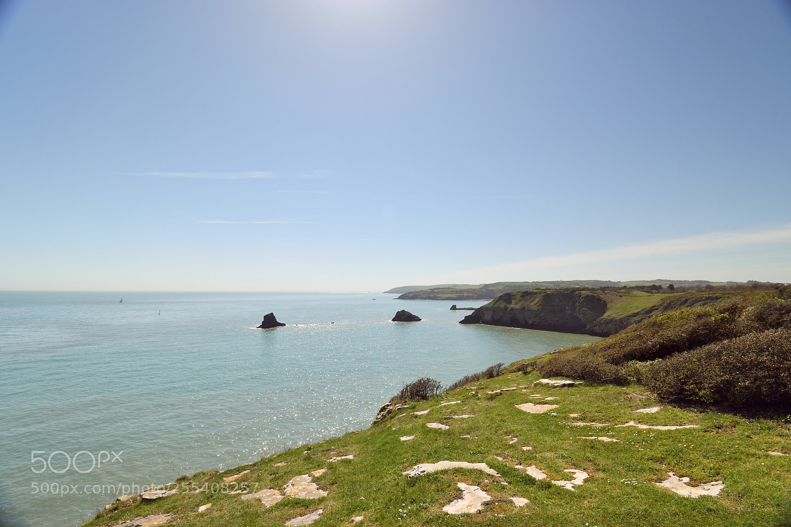 Nikon D5600 sample photo. Berry head coastline photography