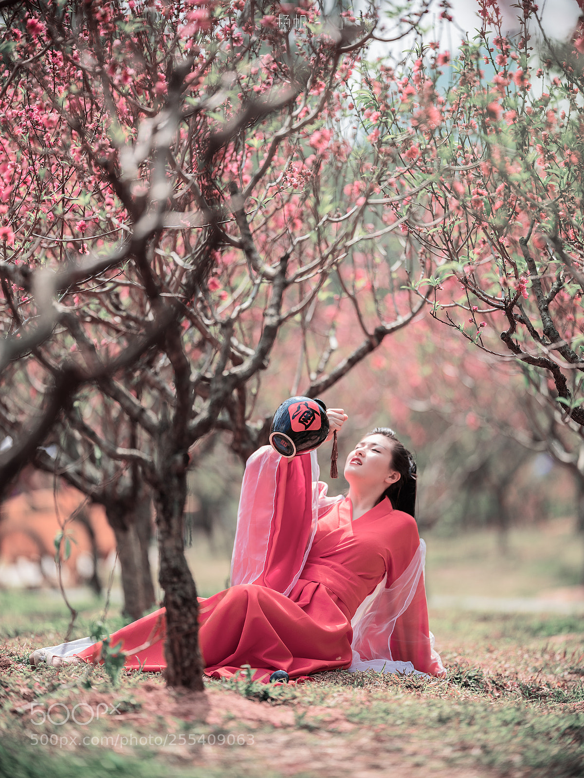 Fujifilm GFX 50S sample photo. 醉。桃花 photography