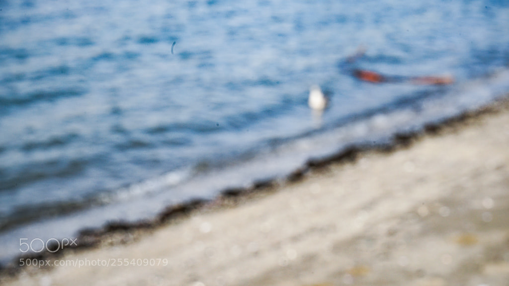 Sony a7 II sample photo. Dsc photography