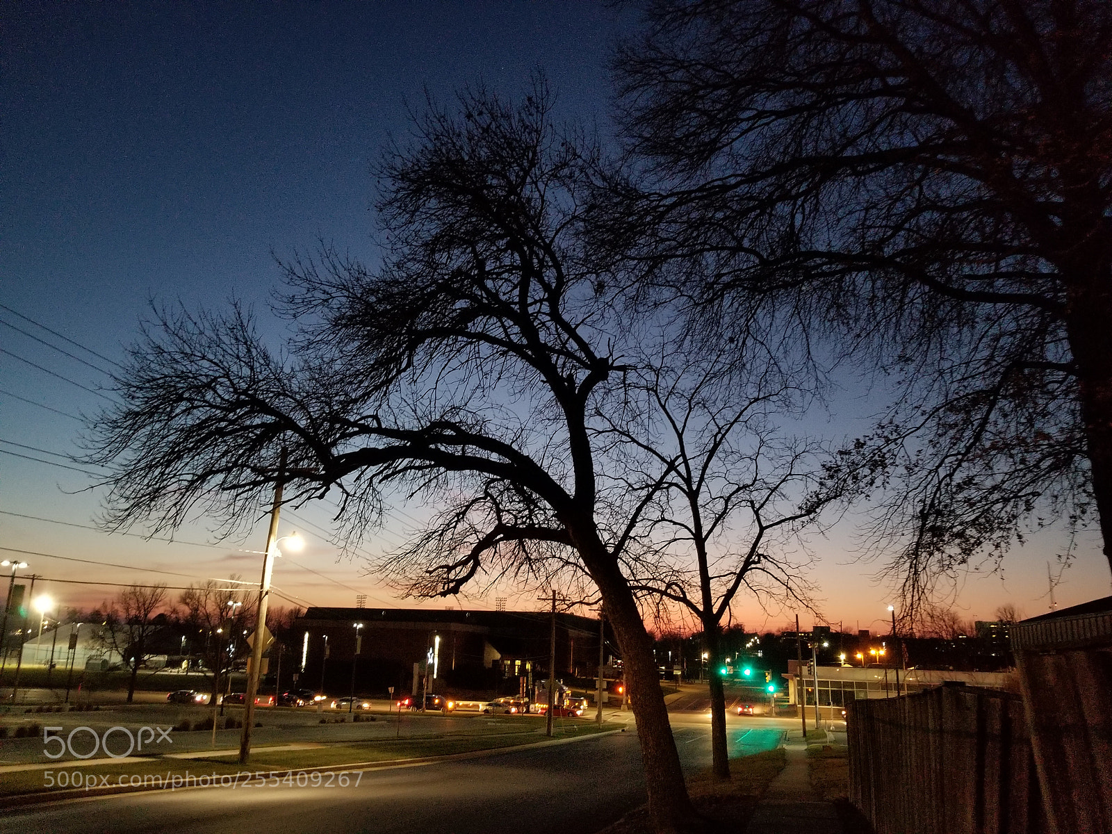 Samsung Galaxy S8 sample photo. Untitled photography