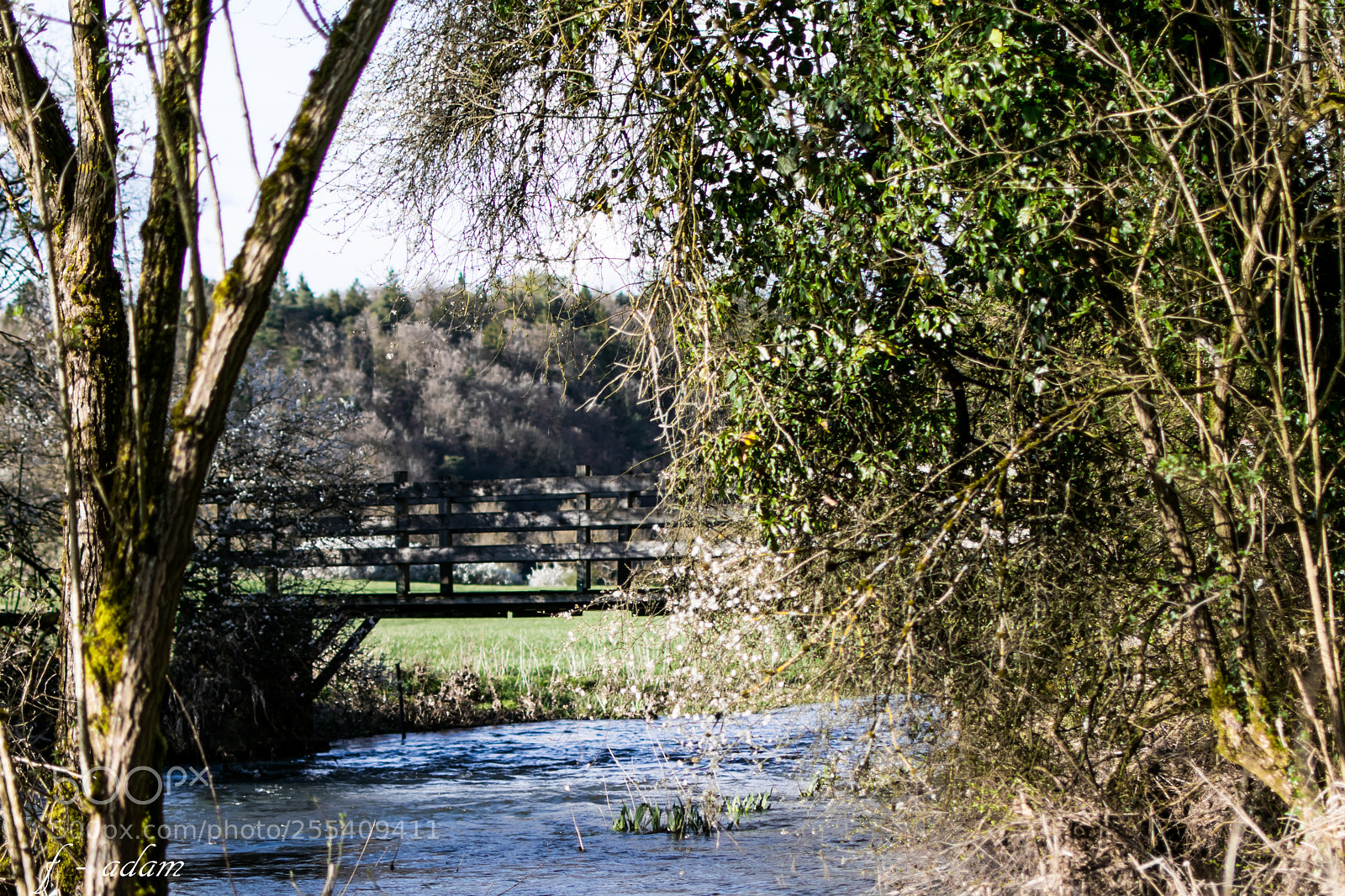 Nikon D3300 sample photo. Untitled photography