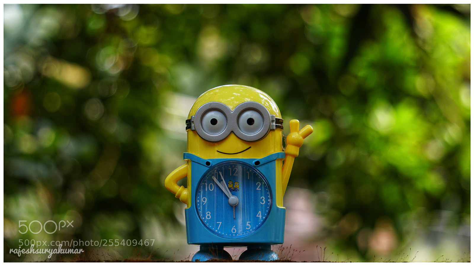 Sony a6300 sample photo. Minion photography