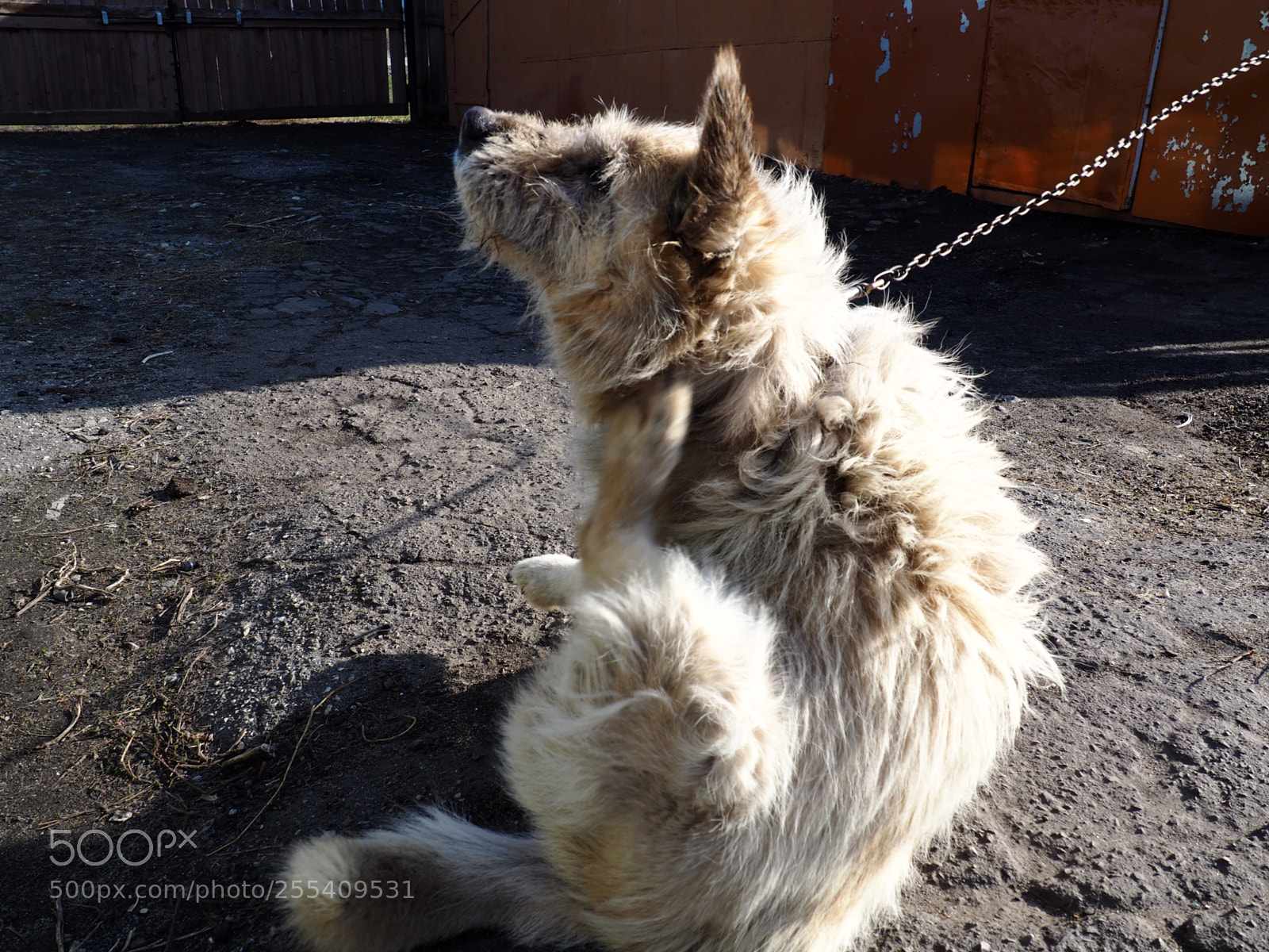 Olympus OM-D E-M10 II sample photo. жорик photography