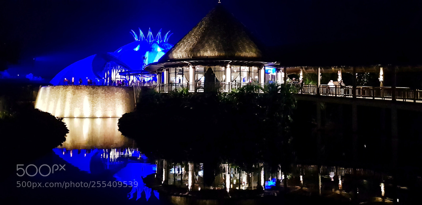 Samsung Galaxy S8 sample photo. Untitled photography