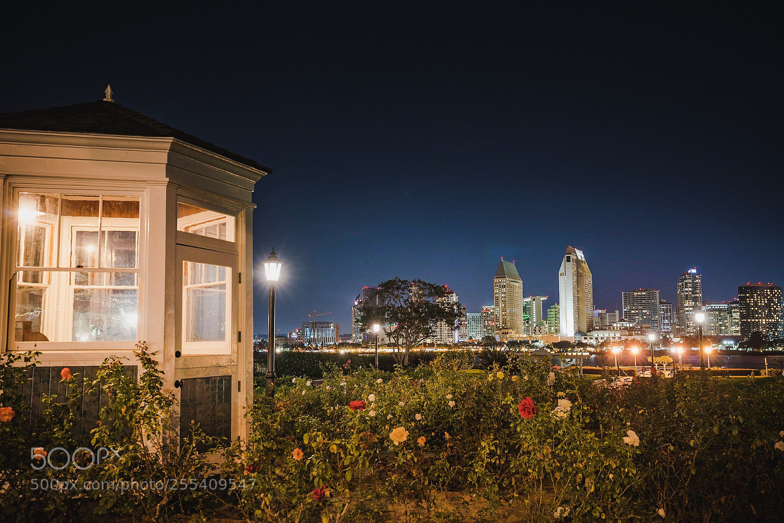 Sony a7R II sample photo. City lights photography