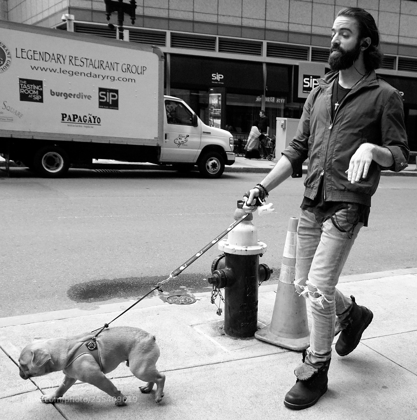 Sony a6500 sample photo. Dog trying to pull photography