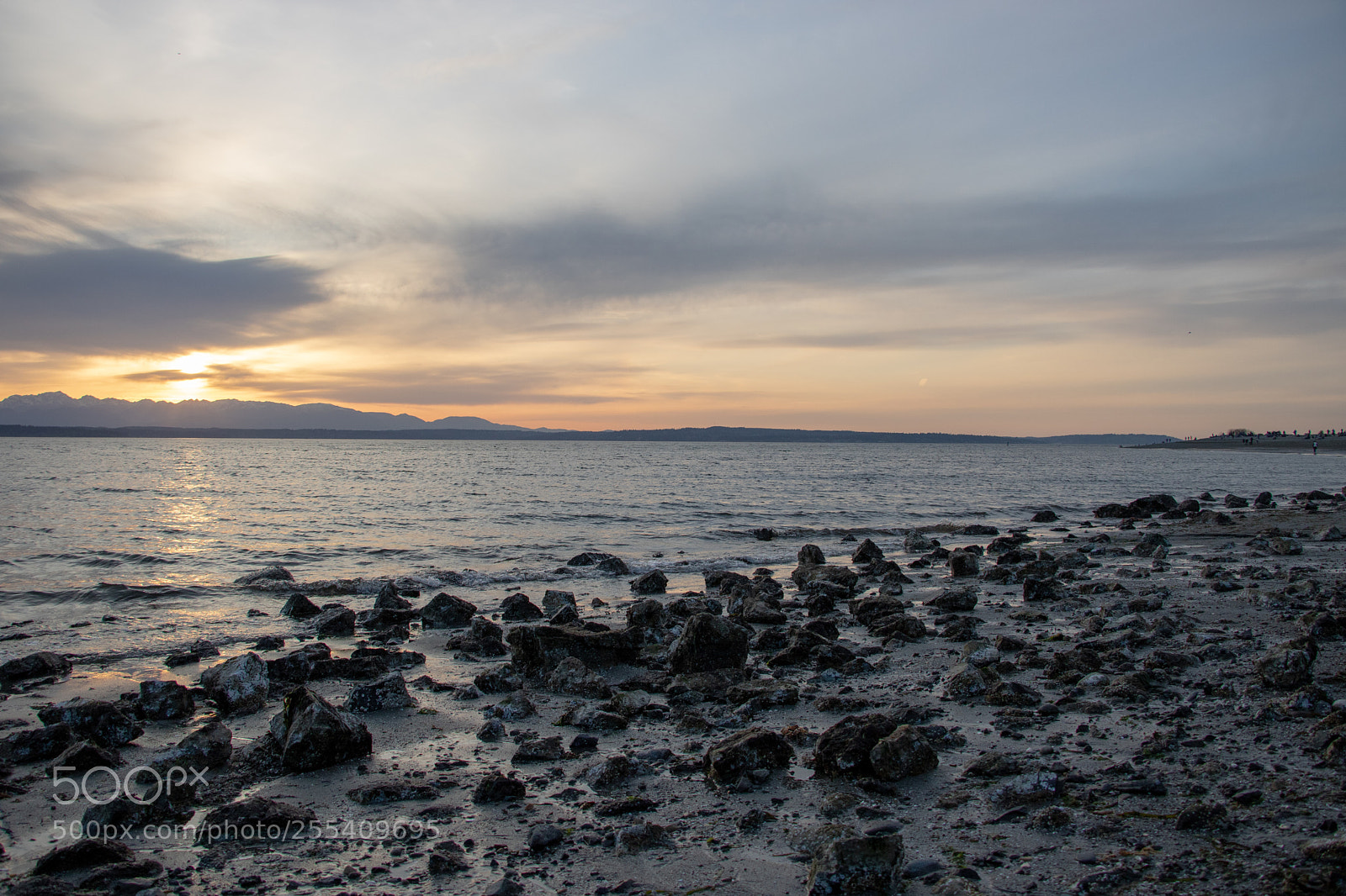 Canon EOS 750D (EOS Rebel T6i / EOS Kiss X8i) sample photo. Golden sunset photography
