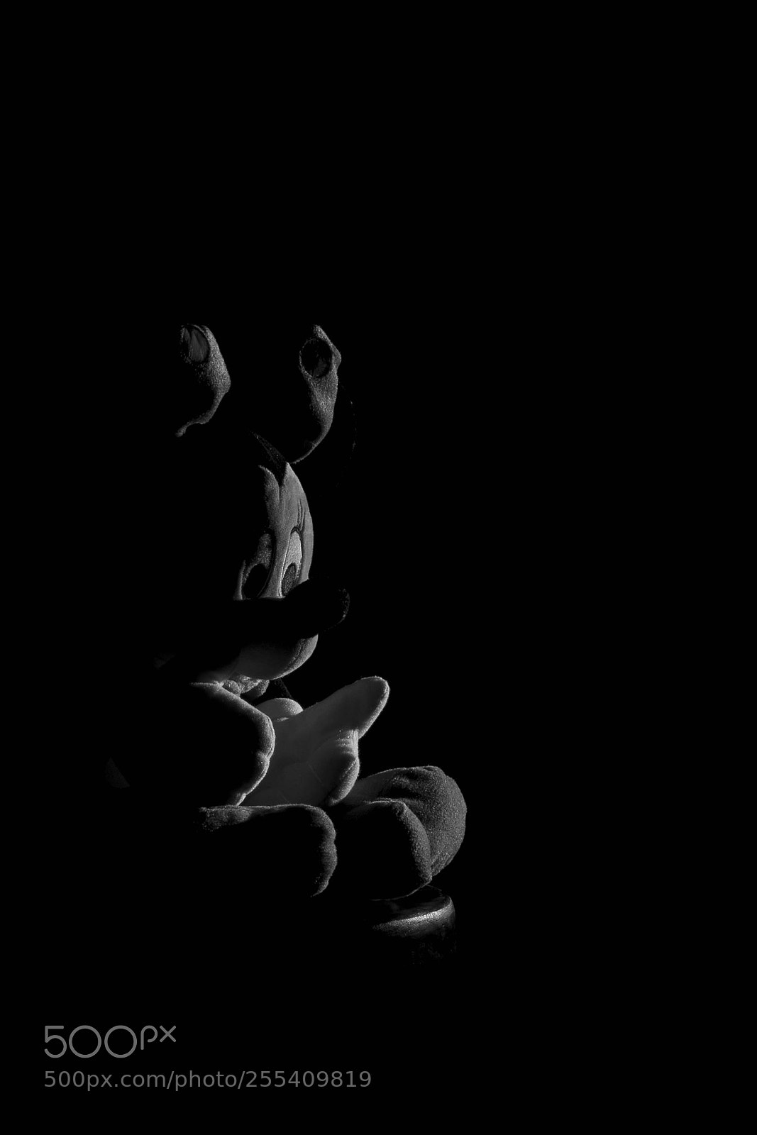 Nikon D7100 sample photo. Untitled photography