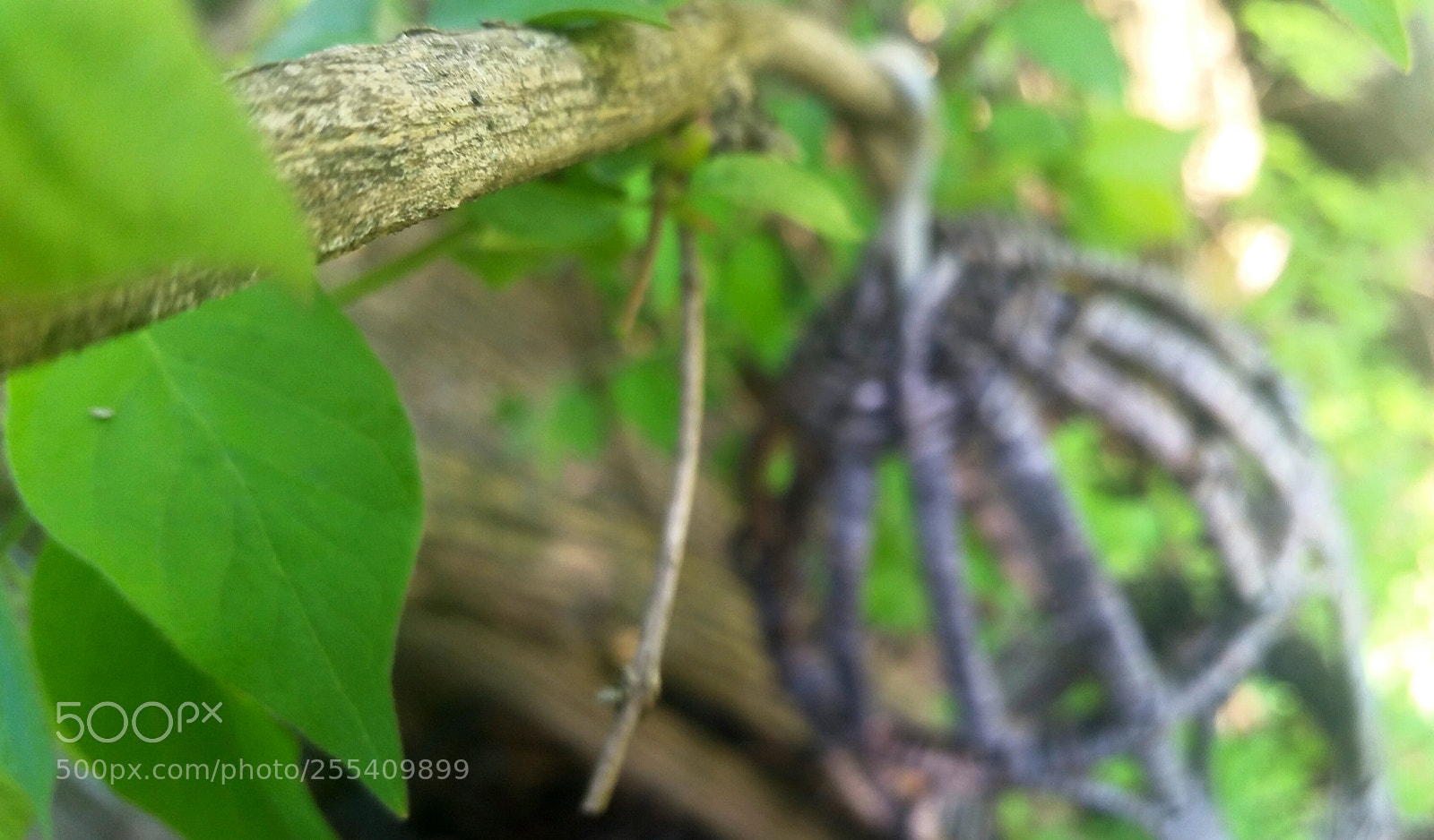 Samsung Galaxy S5 sample photo. Untitled photography