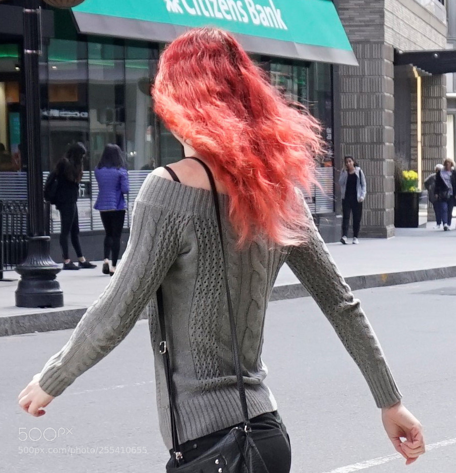 Sony a6500 sample photo. A bright red head photography