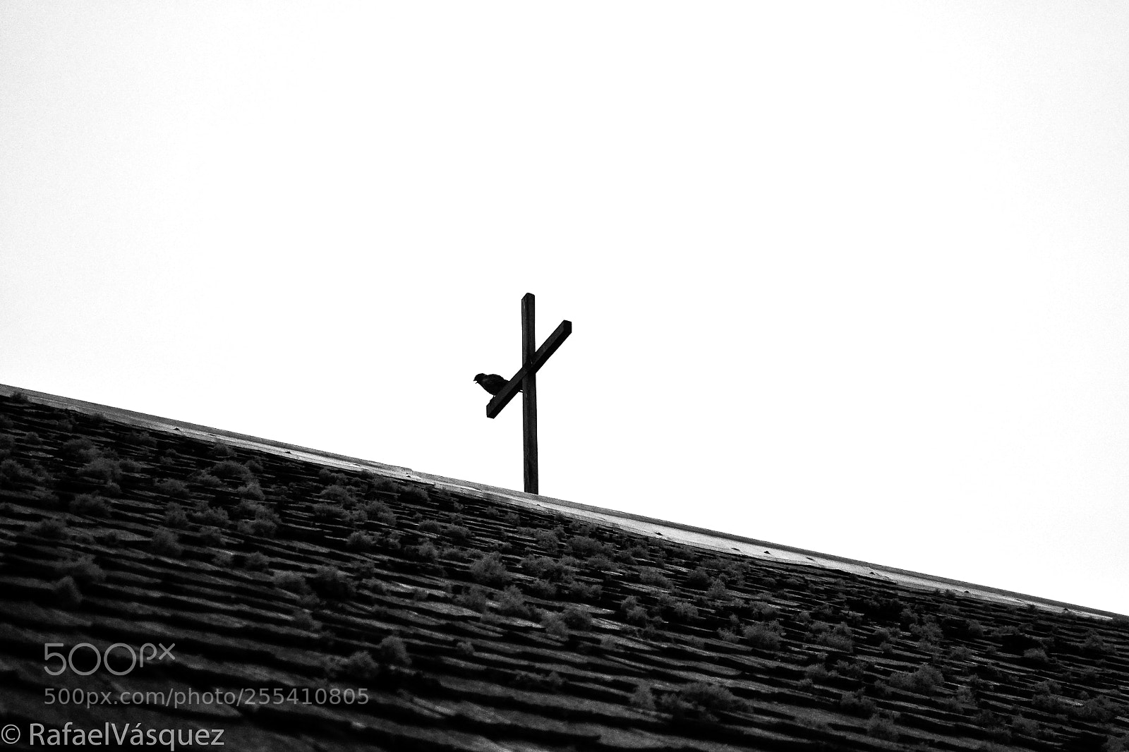 Nikon D3100 sample photo. La cruz y el photography