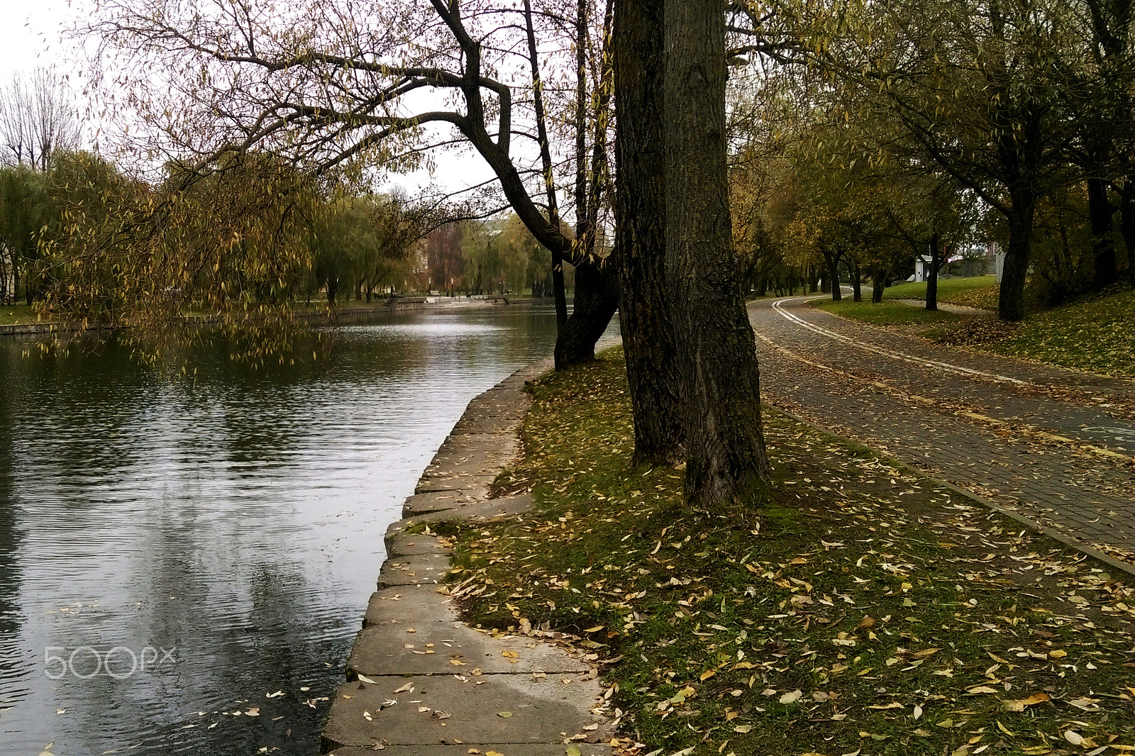 HTC DESIRE 826 DUAL SIM sample photo. Beautiful view of the avenue in the spring, autumn photography