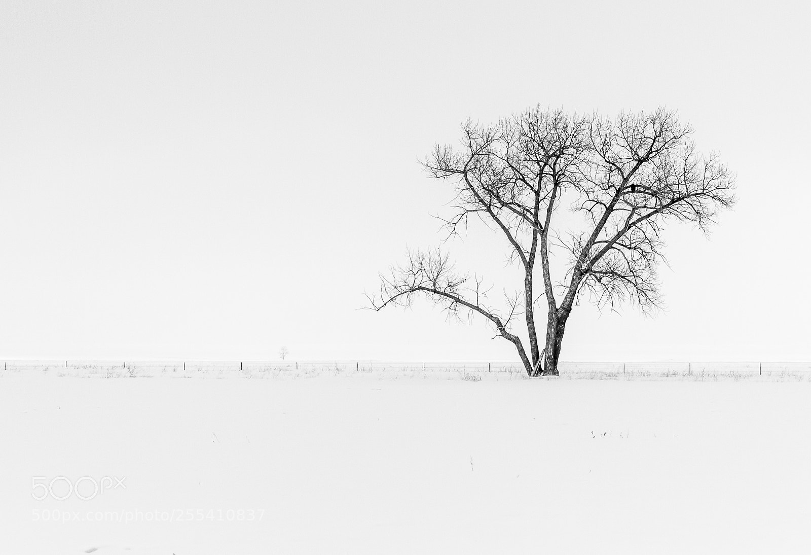 Canon EOS 7D sample photo. Lonely and cold photography