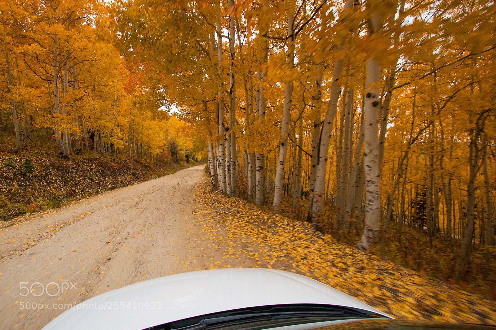 Canon EOS 70D sample photo. Car on country road photography