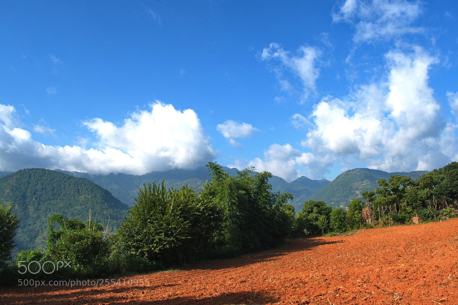 Nikon D5600 sample photo. Agriculture field photography