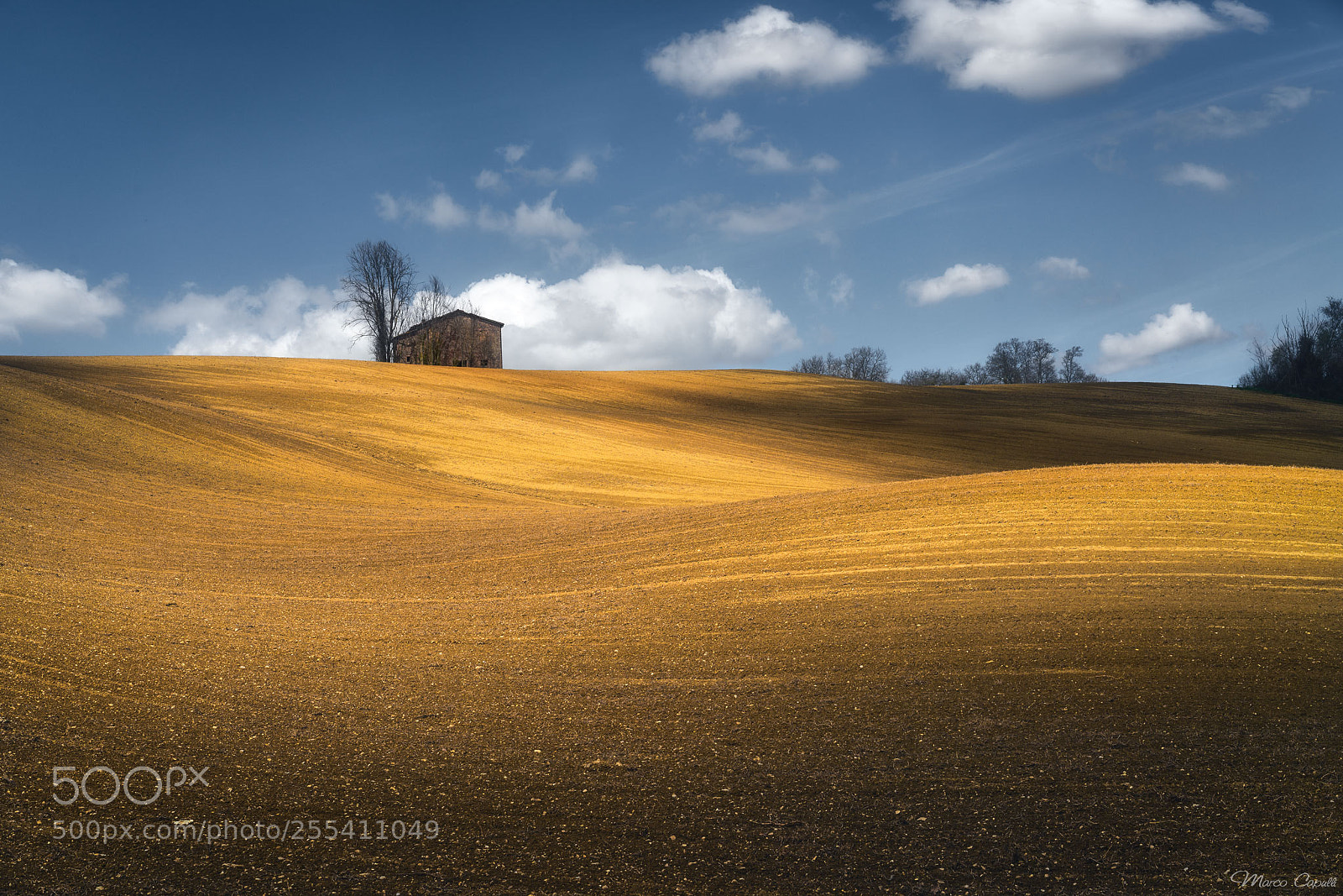 Sony a7R II sample photo. Prateria photography