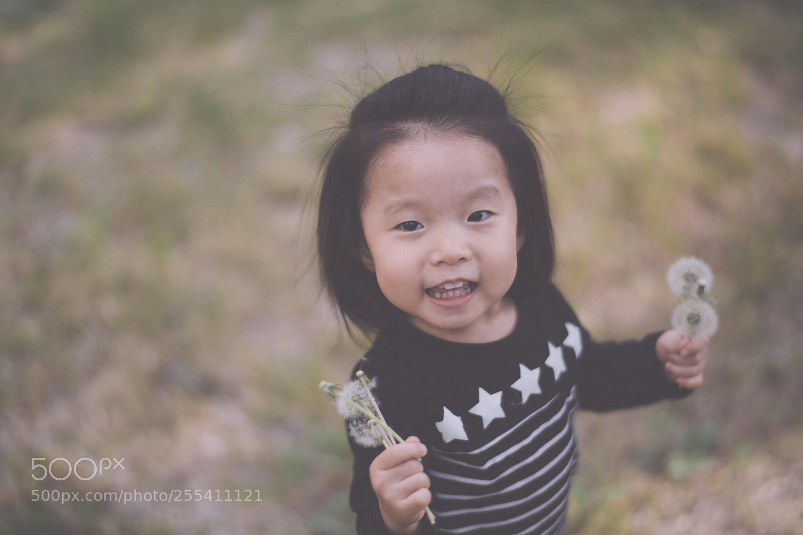 Nikon D850 sample photo. Yul photography
