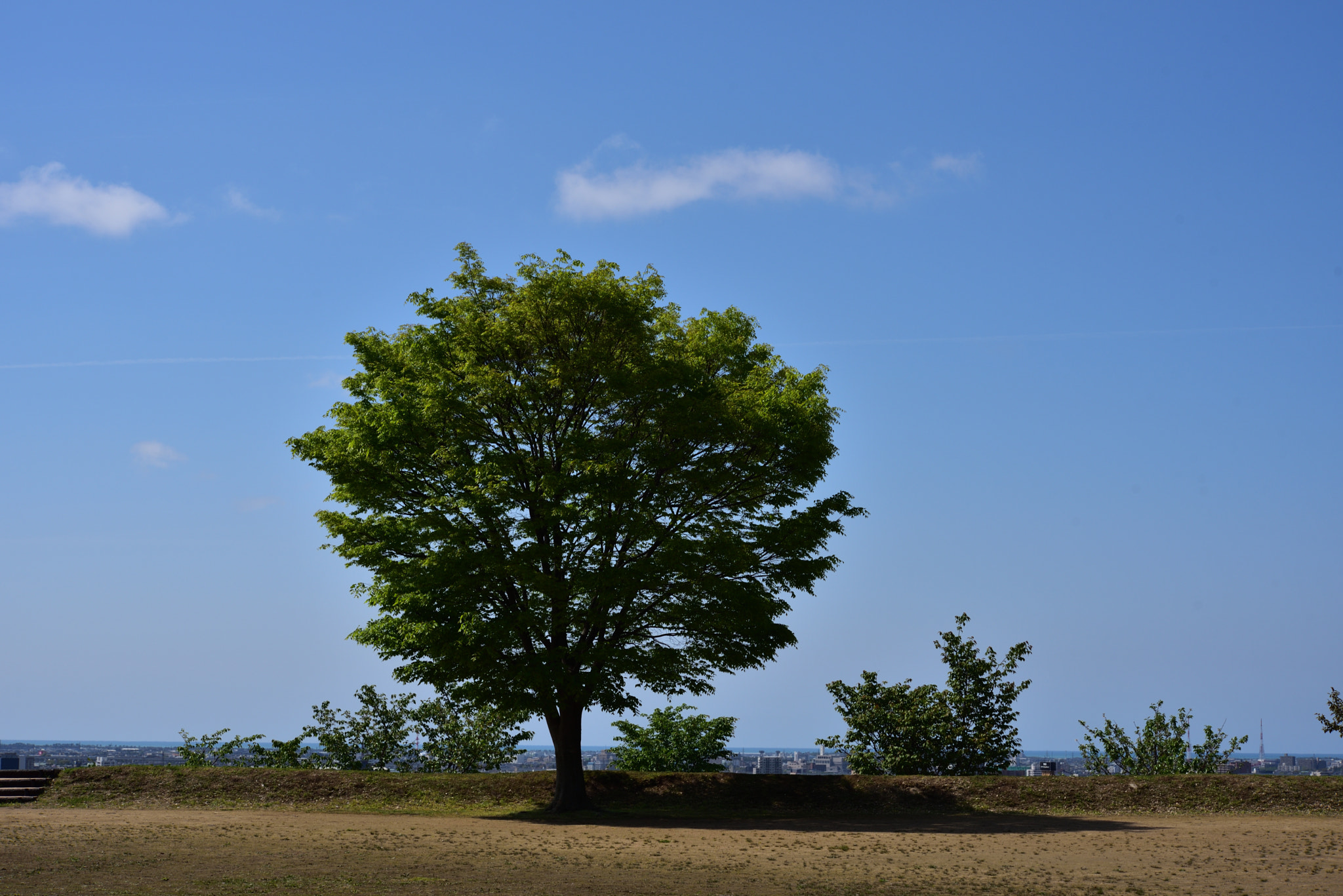 Nikon D750 sample photo. 緑と青と白 金沢大乗寺丘陵公園 photography
