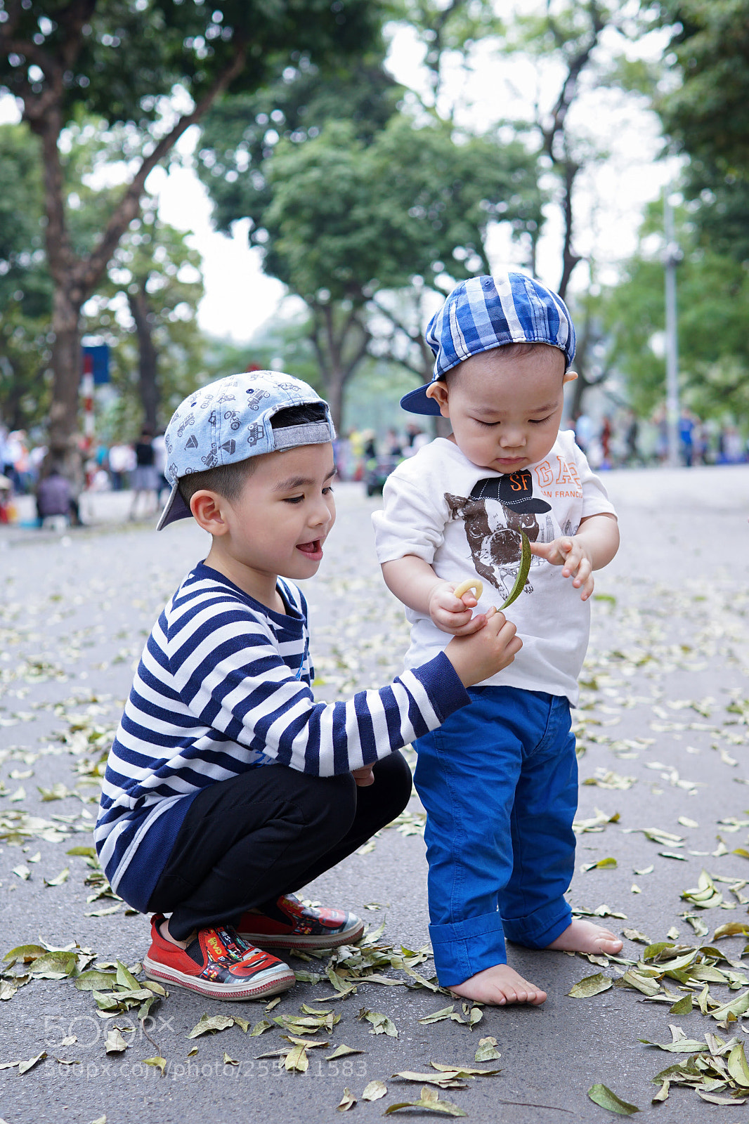 Sony a6000 sample photo. C photography