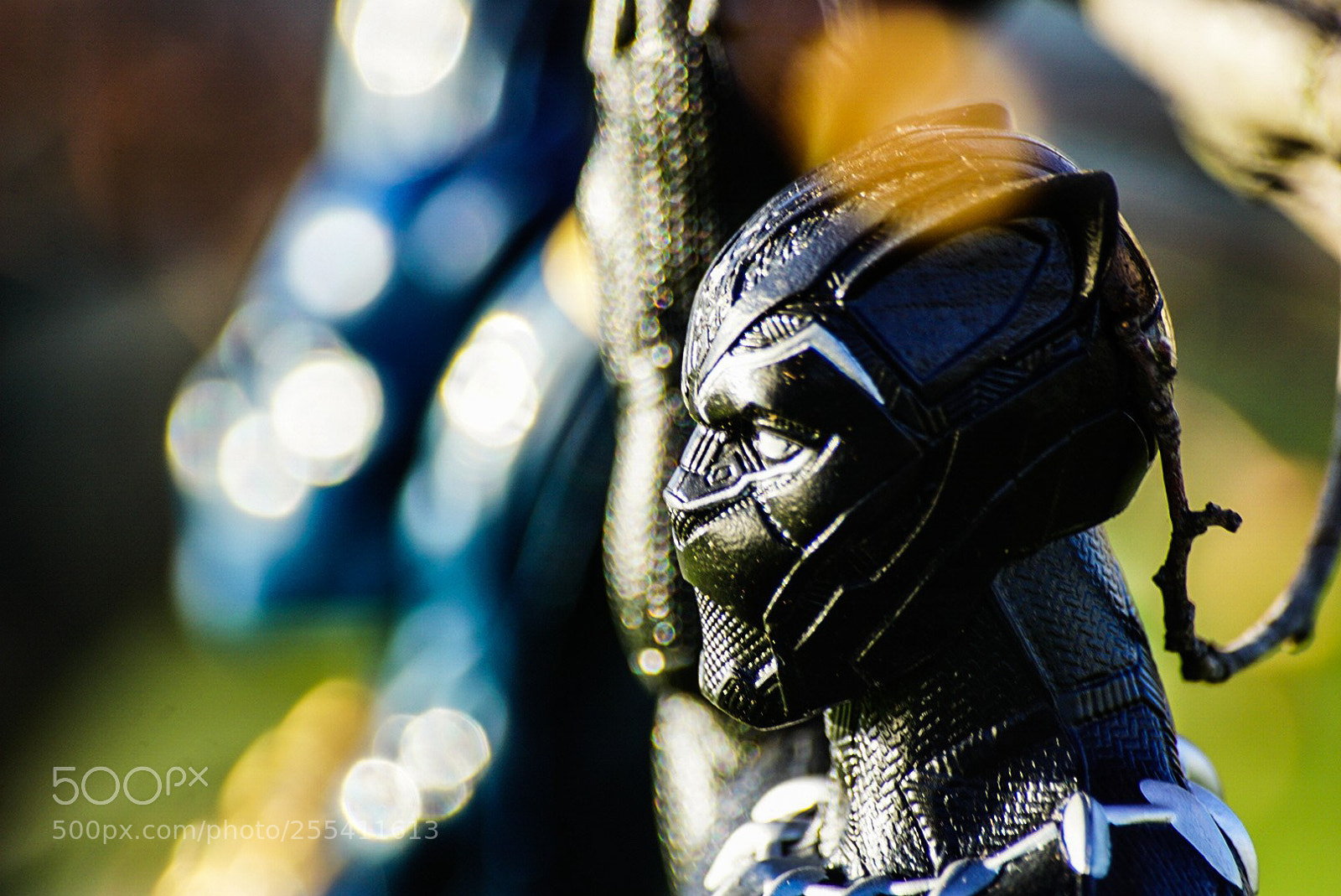 Sony a6000 sample photo. Two panthers photography