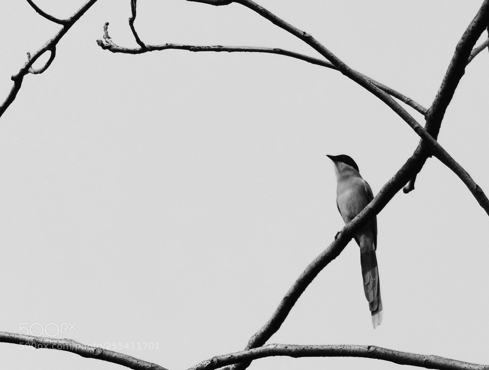 Nikon D5300 sample photo. Untitled photography