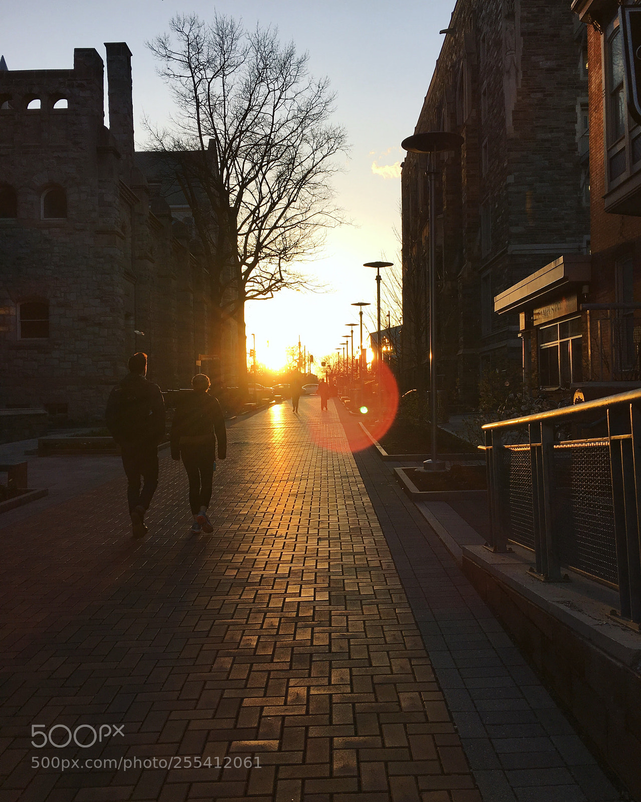 Apple iPhone 6s sample photo. Untitled photography