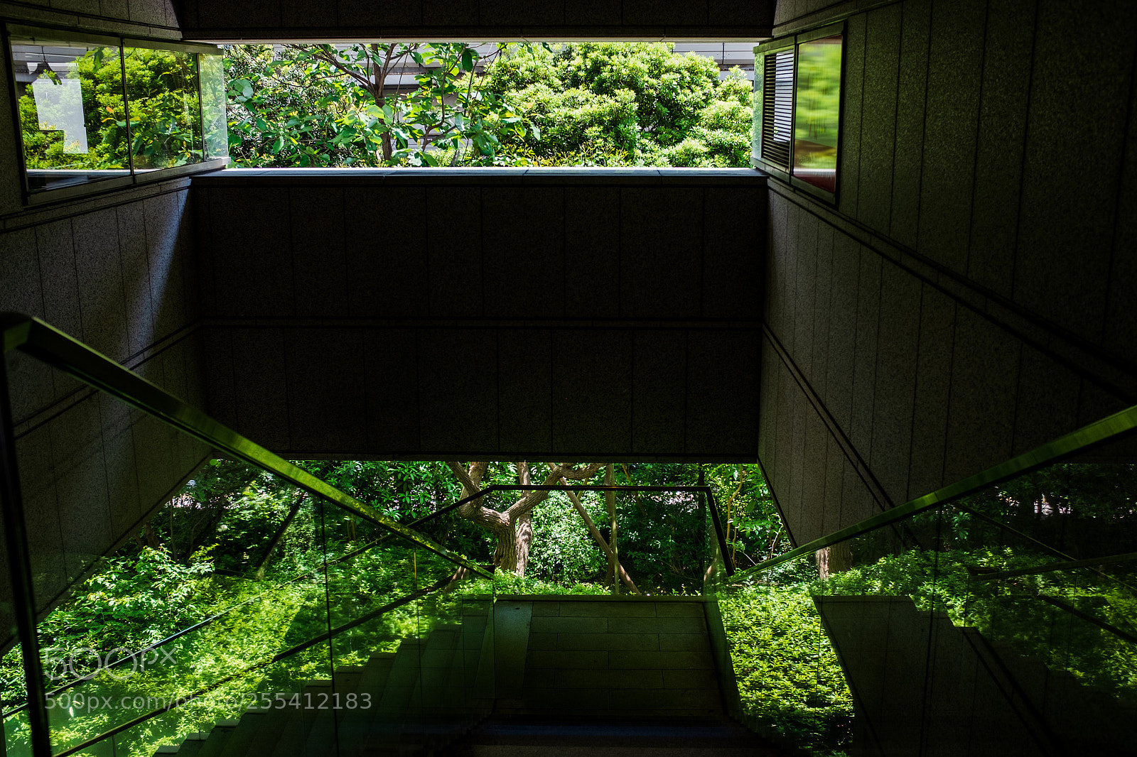 Fujifilm X100T sample photo. Real and reflection photography