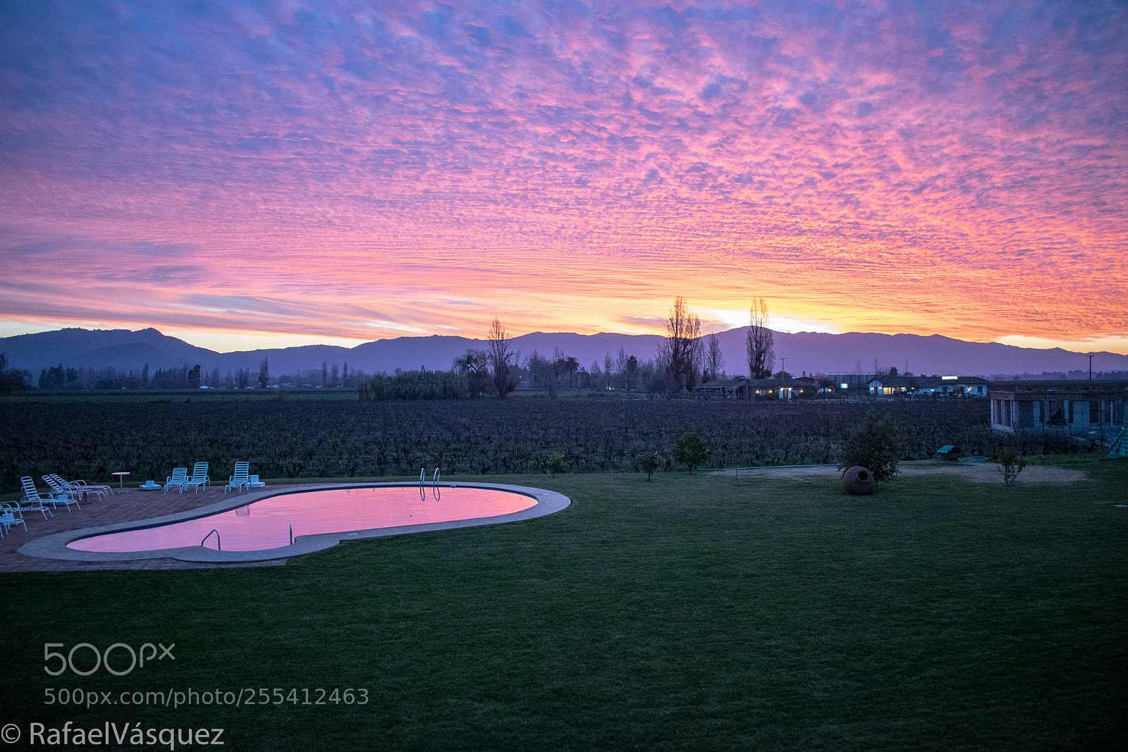 Nikon D3300 sample photo. Atardecer rosa photography