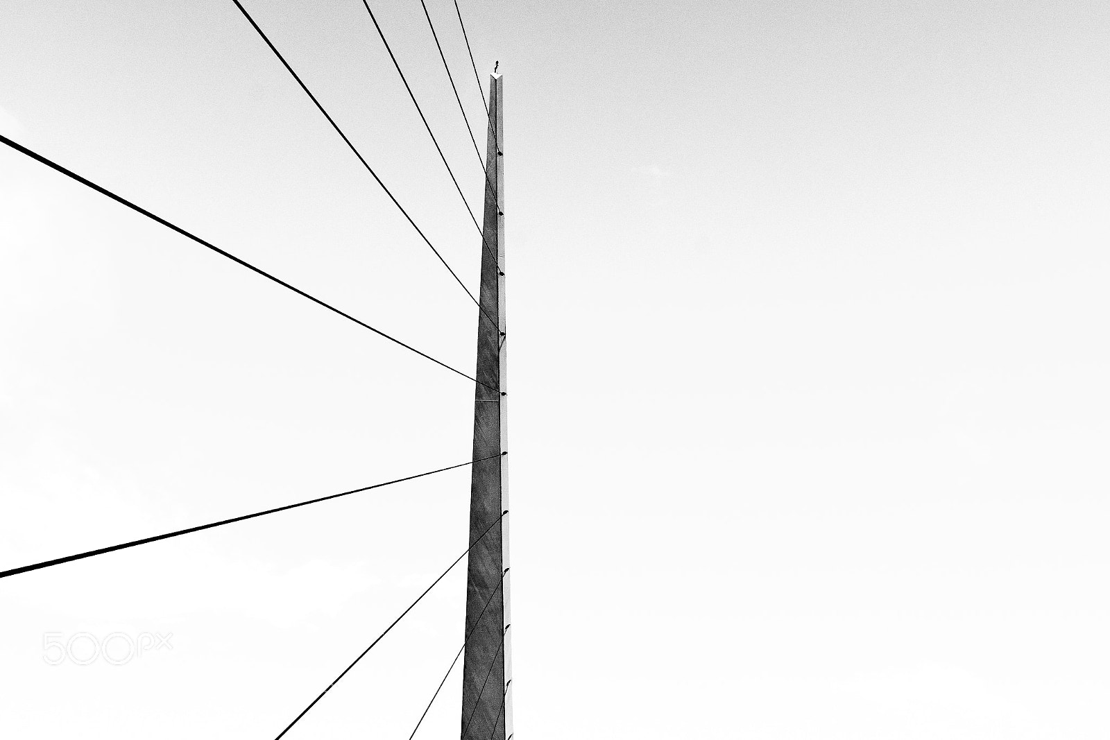 Nikon D7200 sample photo. Los cables del puente photography