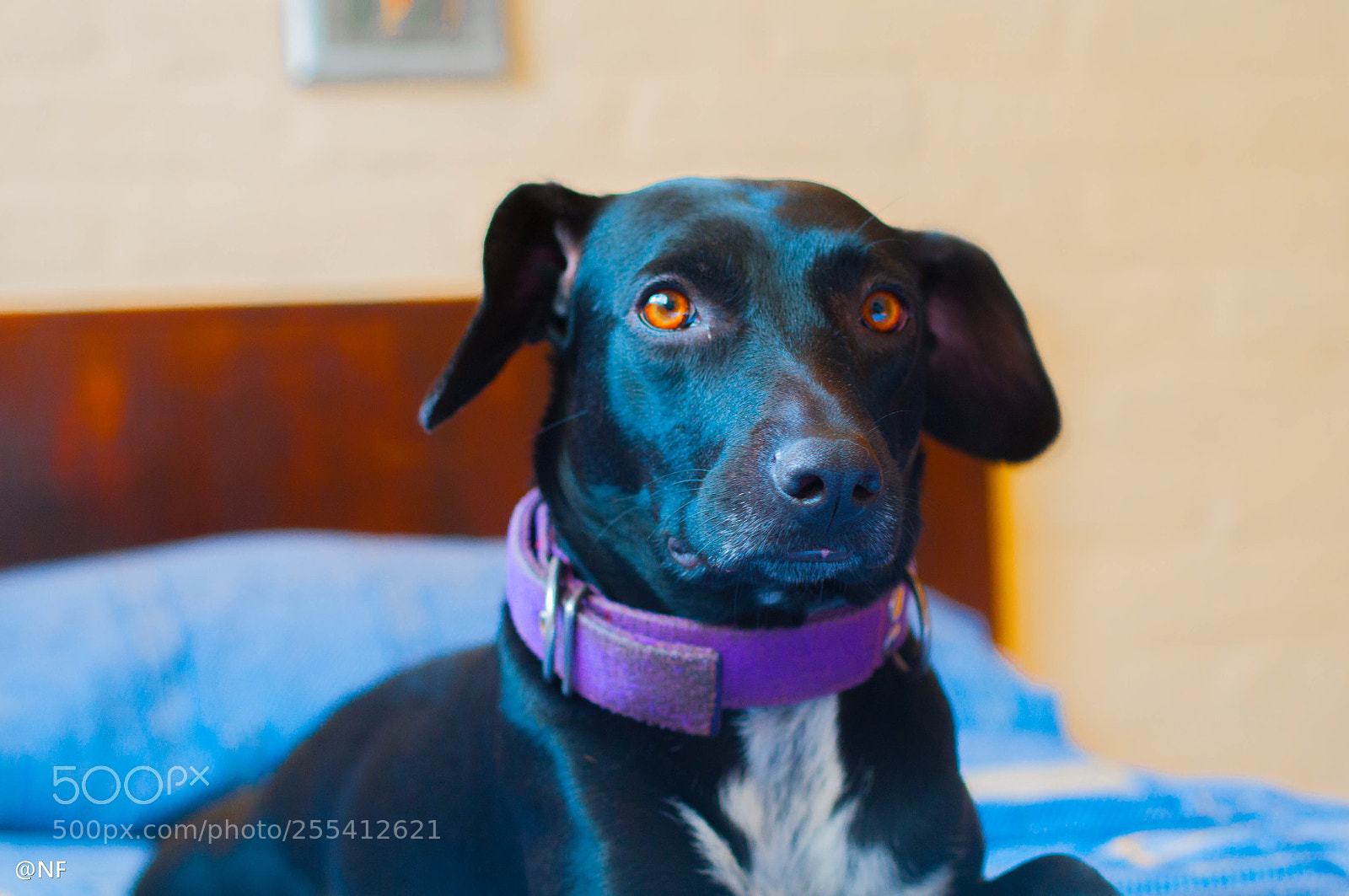 Nikon D300 sample photo. ? photography