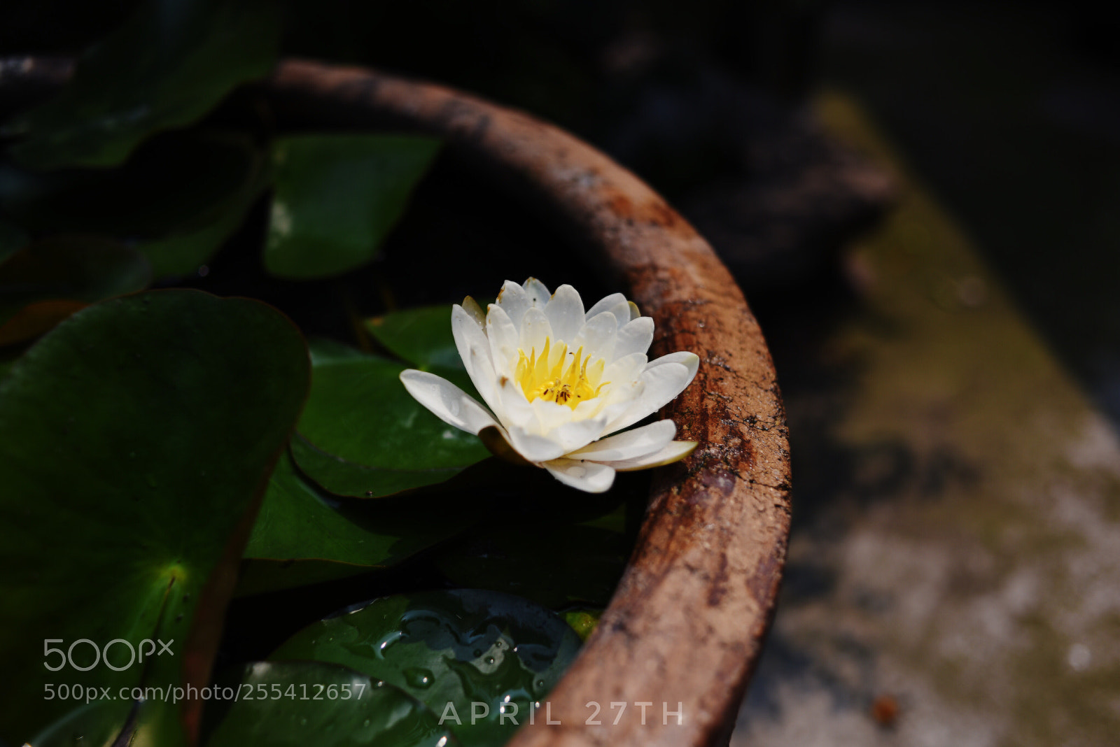 Nikon D810 sample photo. Untitled photography