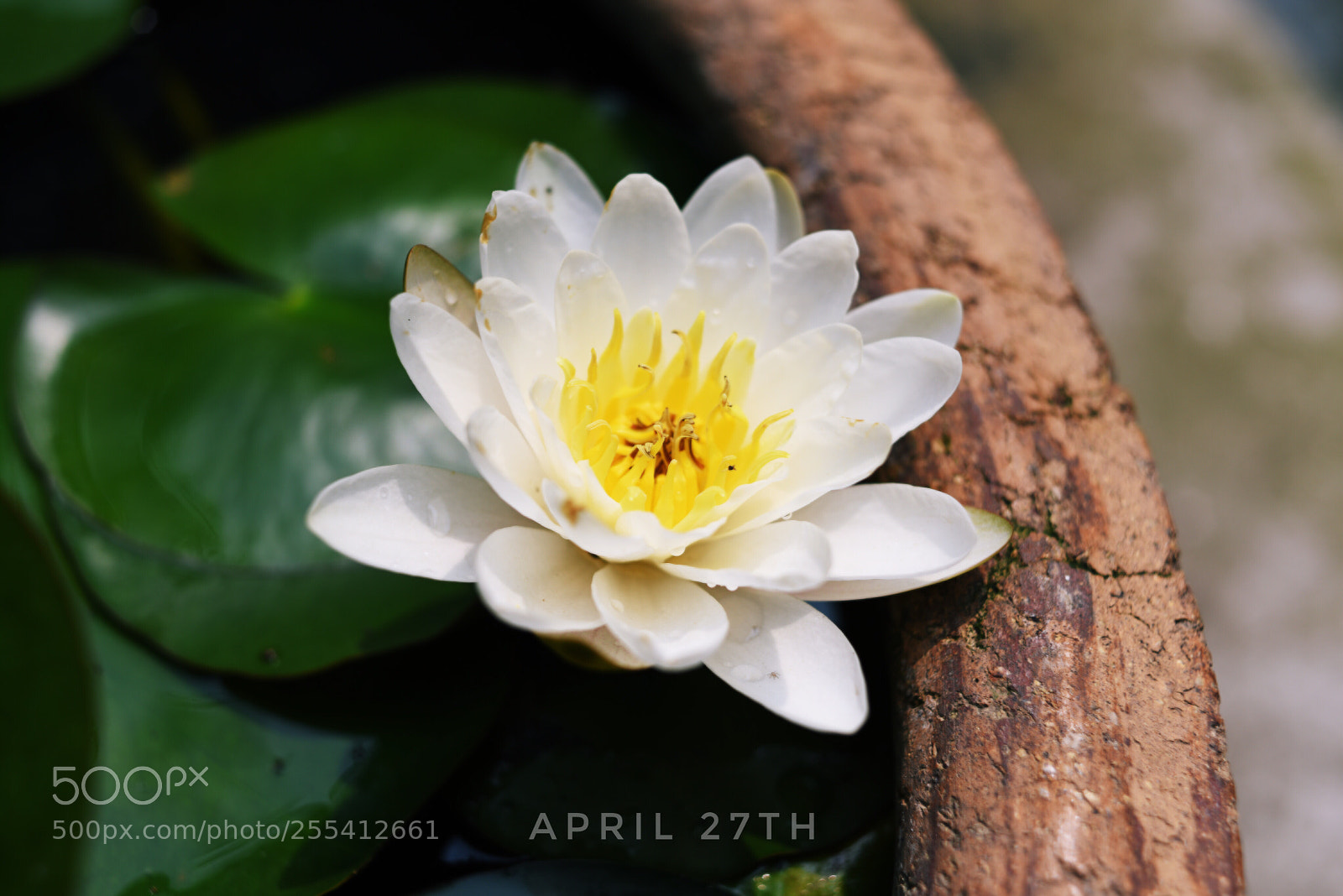 Nikon D810 sample photo. Untitled photography