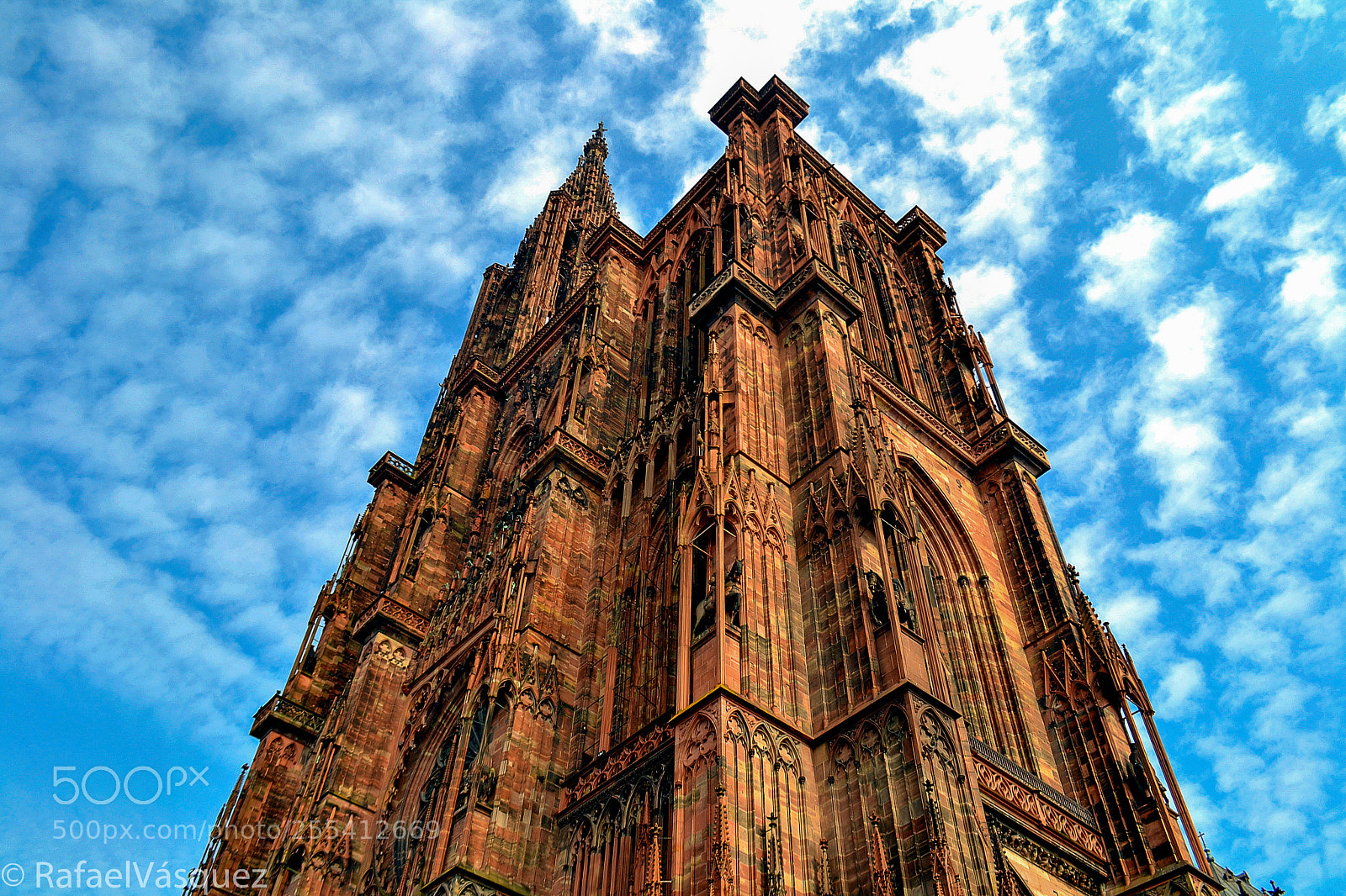 Nikon D3100 sample photo. Catedral de estrasburgo photography
