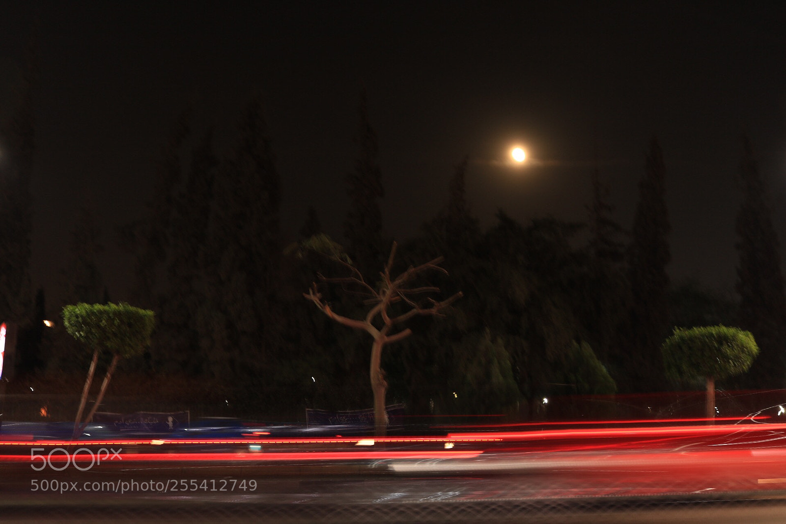 Canon EOS 750D (EOS Rebel T6i / EOS Kiss X8i) sample photo. Shy nature in a photography