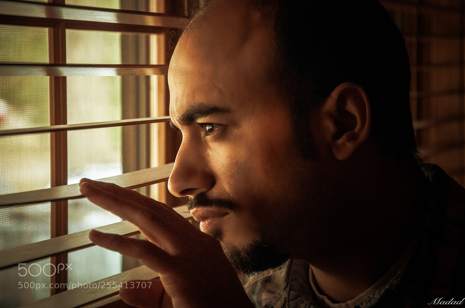 Nikon D90 sample photo. Untitled photography