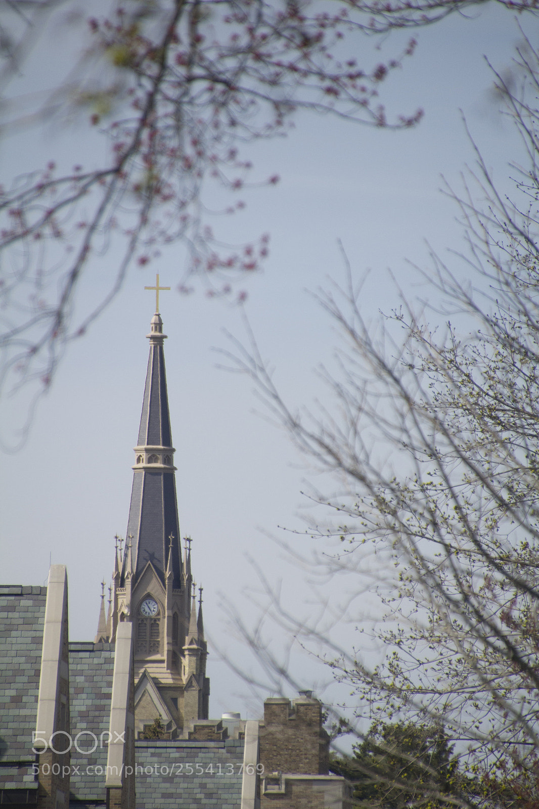 Canon EOS 1200D (EOS Rebel T5 / EOS Kiss X70 / EOS Hi) sample photo. Basilica of sacred heart photography