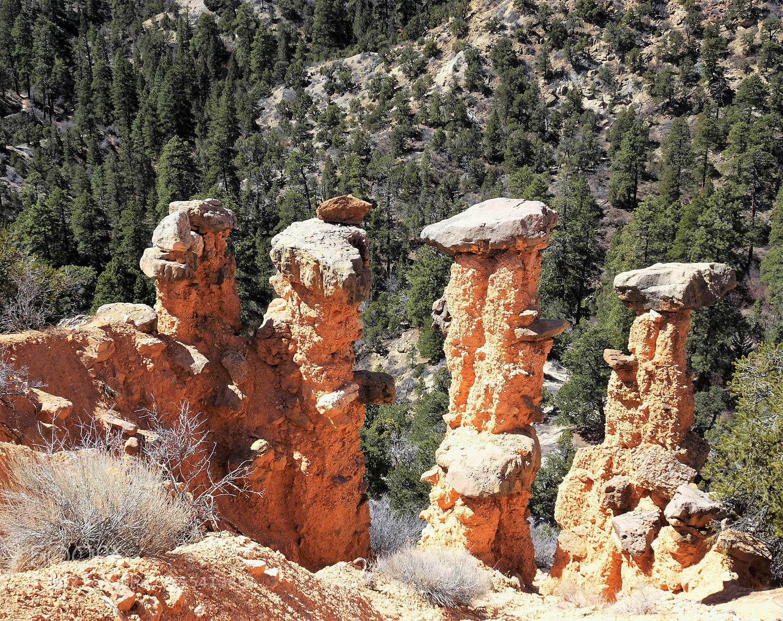 Sony Cyber-shot DSC-HX90V sample photo. Hoodoos photography