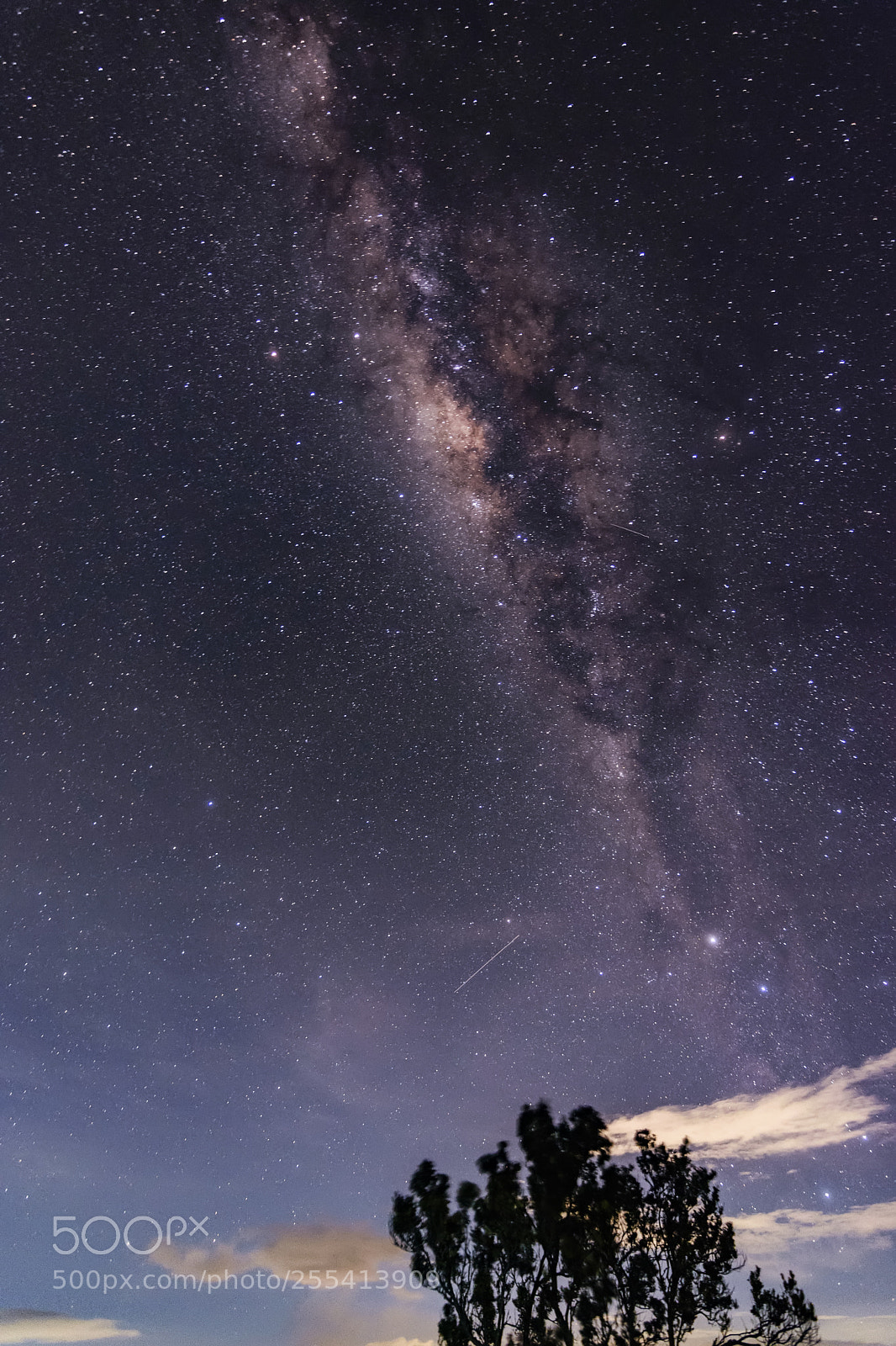 Nikon D7200 sample photo. Sky full of stars photography